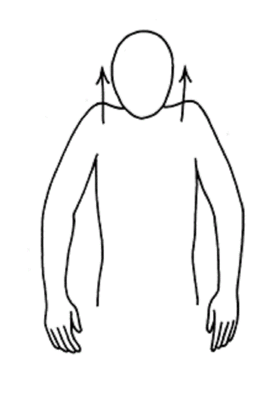 Actividades del nivel 3 de rehabilitación vestibular