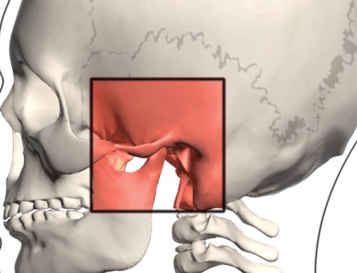 Rehabilitación orofacial en fisioterapia