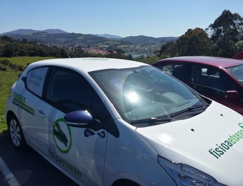 Dos días de fisioterapia a domicilio en Bilbao