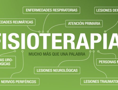 ¿Cuanto campo abarca la fisioterapia?