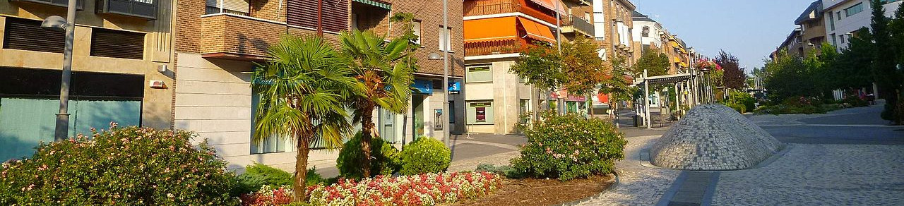fisioterapia-lasrozas