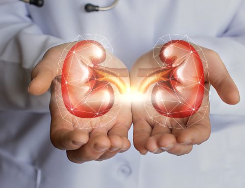 ¿Fisioterapia para los riñones? ¿se puede hacer algo con la insuficiencia renal?