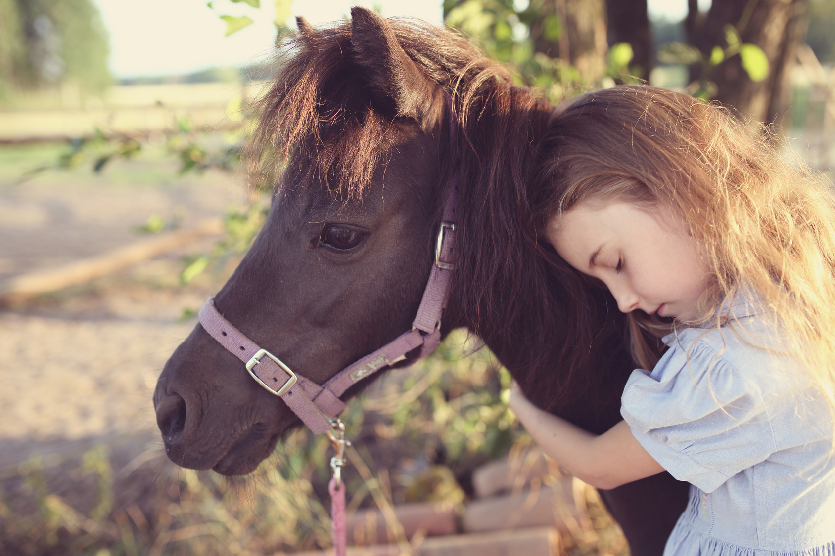 trabajo no caballos en síndrome de Rett