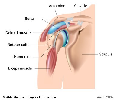 Shoulder bursa, bursitis, eps10