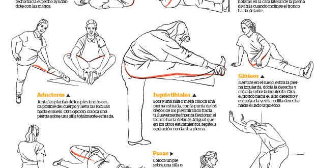 Estiramientos Miembros inferiores