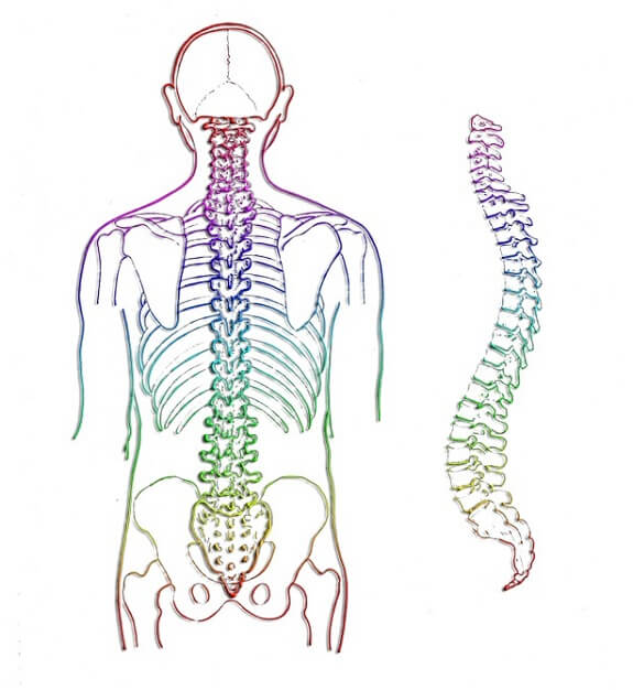 Columna vertebral, beneficiada por la fisioterapia respiratoria