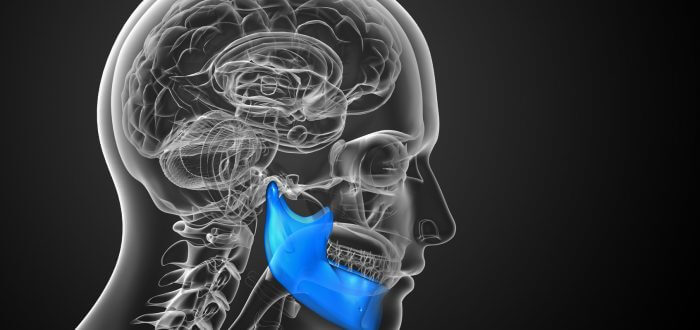 3d rendered illustration – jaw bone