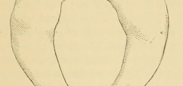 14781625124_dc91958003_o