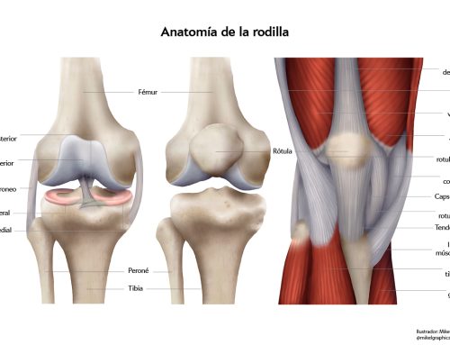 Lesiones del menisco de la rodilla. Características y tratamiento