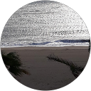 Veturia T profile picture