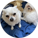 Mayu Pérez profile picture